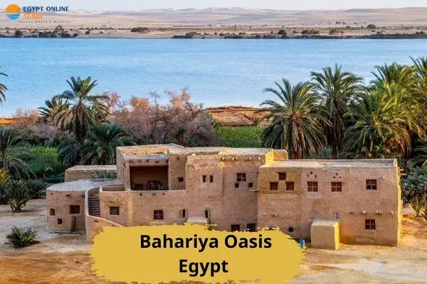 Bahariya Oasis Egypt | Desert Adventure & History