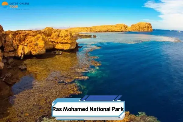 Ras Mohamed National Park | Sinai Egypt